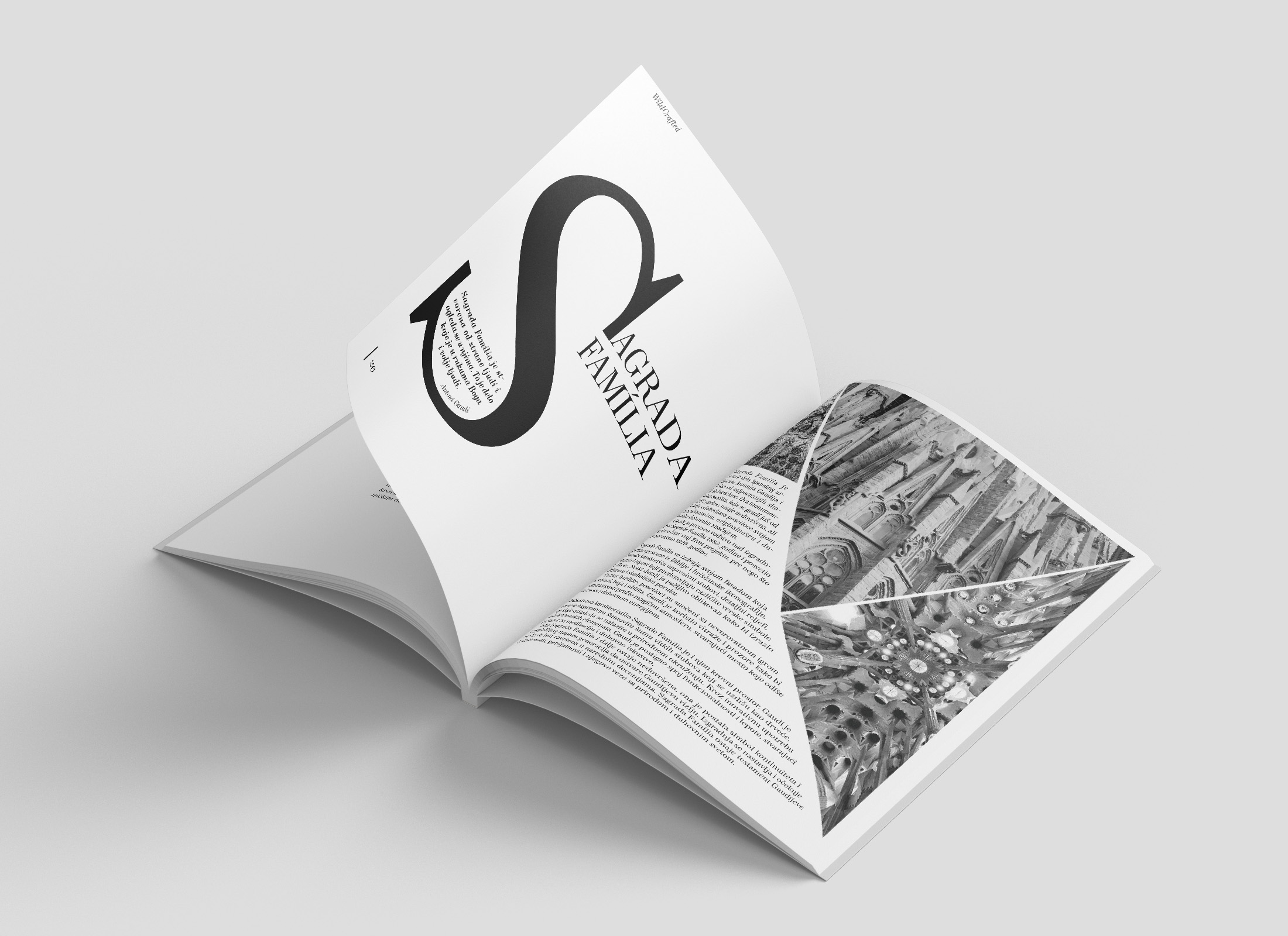 Intro layout with large letter S